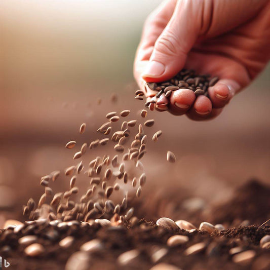 家庭での種蒔き成功率を上げるためのポイントとアドバイス