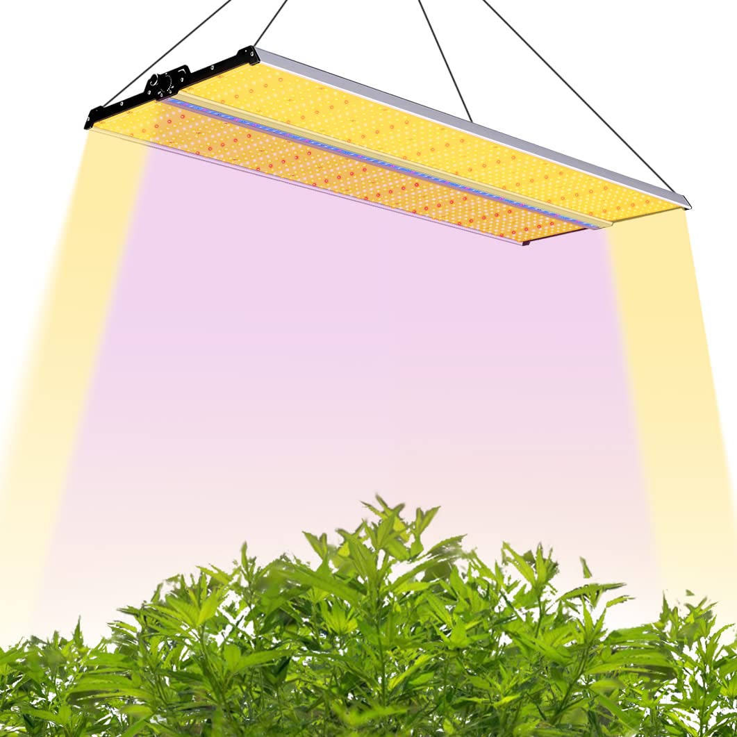 植物用LEDライトのドライバー：人気ブランドとその特徴を紹介