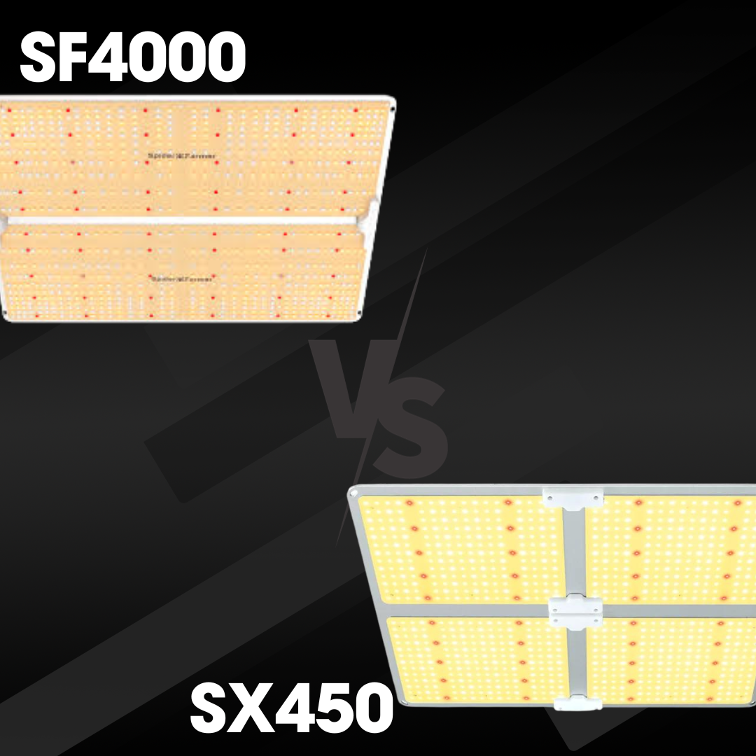 400W LEDグローライト比較：Spider Farmer SF4000 vs. Fat Light Slim SX450