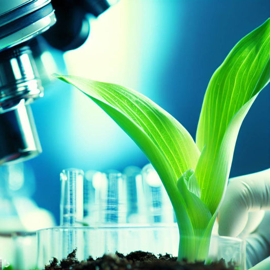 植物成長におけるPPFとPPEの違い： 光子束量と光合成効率