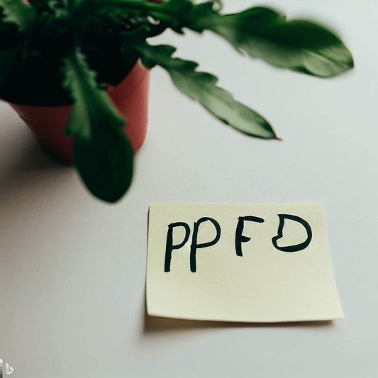 PPFD(光合成光子束密度)とは何か？